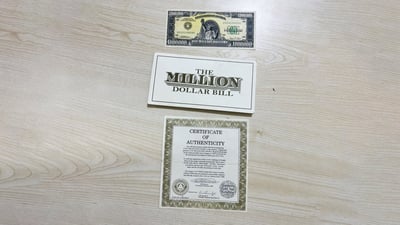 Man arrested in Diwaniyah for attempting to sell counterfeit $1 million bill