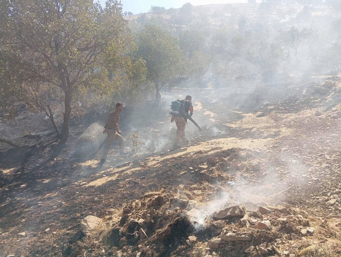 بە زەڕەبینێک نزیکەی 1000 داربەڕوو و 20 دۆنم پوش و پاوان سووتا