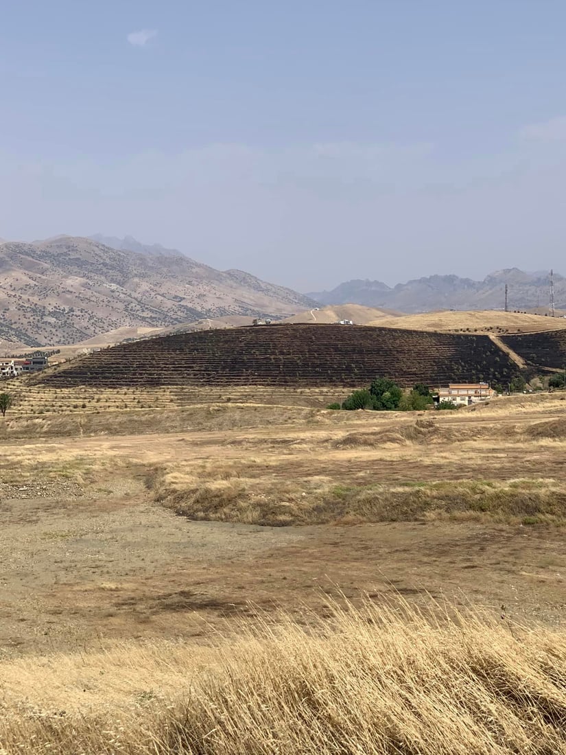 هەواری شار سەلامەتە، بەڵام باخچە رووەکییەکە هیچی وای نەماوەتەوە