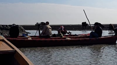 Dhi Qar authorities release confiscated birds into marshes, seize hunting gear