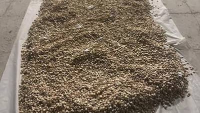 پێش چوونە دەرەوەی لە عێراق ملیۆنان حەپی کەپتاگۆن دەستیبەسەردا گیرا