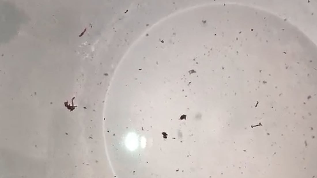 روونکردنەوە لەسەر لێڵی و پیسبوونی ئاوی شارەزوور دەدرێت