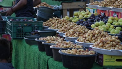 First Basra dates hit markets amid high prices and water-related challenges