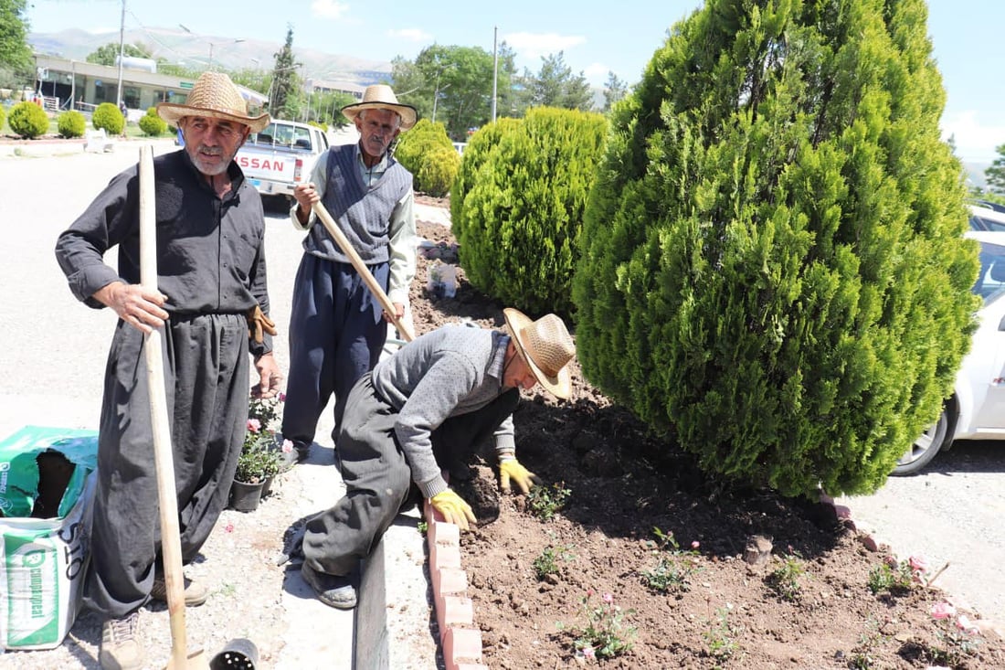 زەردەشت رەفیق، وتەبێژی سەرۆكایەتی شارەوانیی سلێمانی بە تۆڕی964ی وت، گوڵ و دارەكان لە كوالیتی بەرز و جوانەكان رەنگ و شێوە و شكلێكی جیاوازیان هەیە و دیمەنێكی جوان بە شەقامەكانی سلێمانی دەبەخشێت.