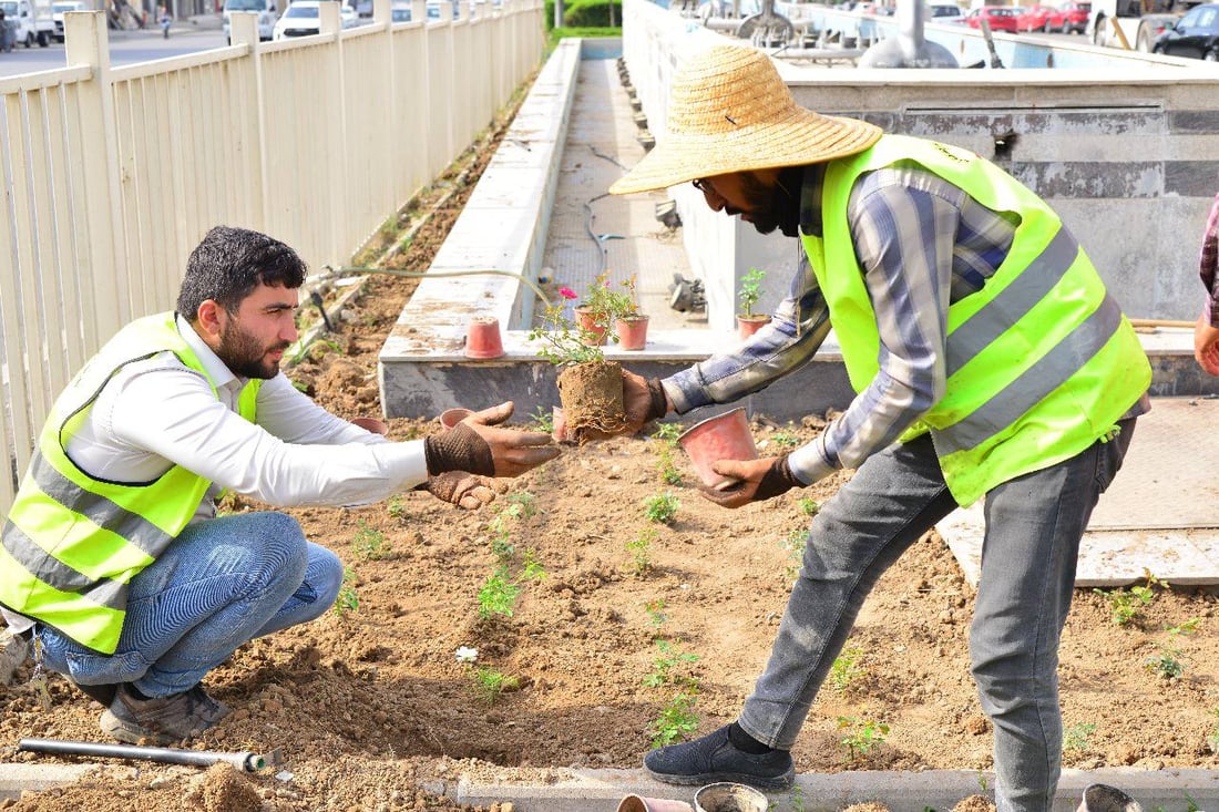 ژینگە سەوزکارەکان گوڵ لە شەقامی 100 مەتری هەولێر دەچێنن