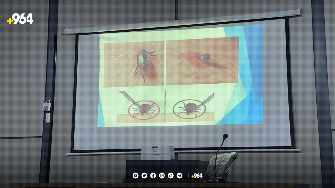 دکتۆرێک: مێرووی گەنە لە ژینگەی ناتەندروست دەژیت