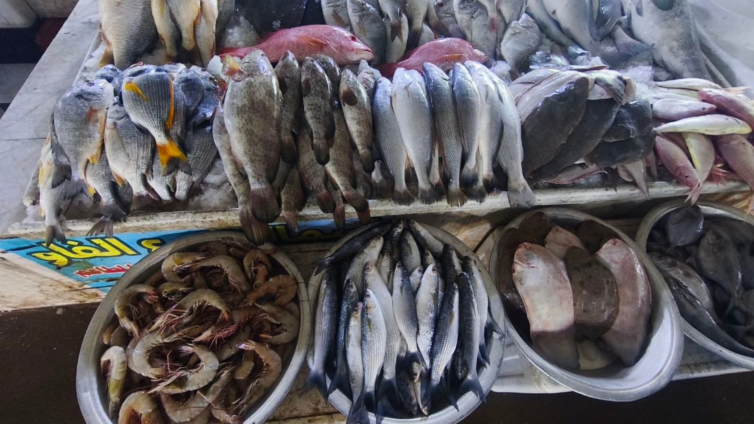 البرد يدفن الأسماك في قاع البحر.. صيادو الفاو يترقبون الدفء