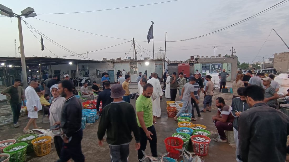 قائمة بأسعار وأصناف السمك في مزاد الفاو.. صور صباحية من مرسى النقعة