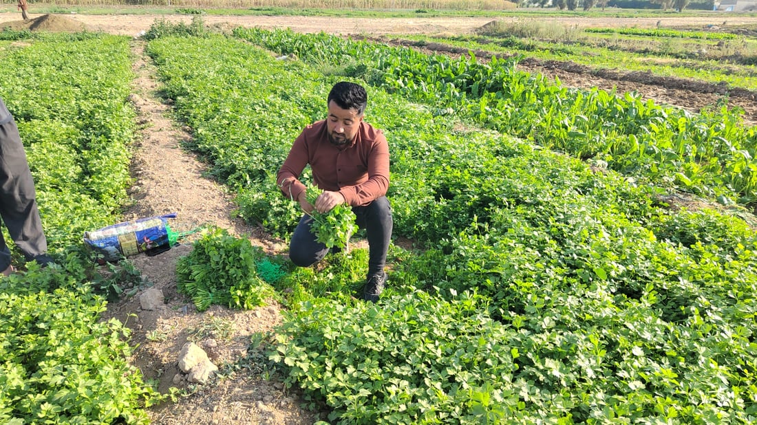 Kalar vegetable seller builds loyal following from a decade of street-to-door service