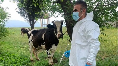 له‌ راپه‌ڕین به‌دواداچوون بۆ چەند کەیسێکی گوماناوی نەخۆشی ئاژه‌ڵان ده‌كرێت