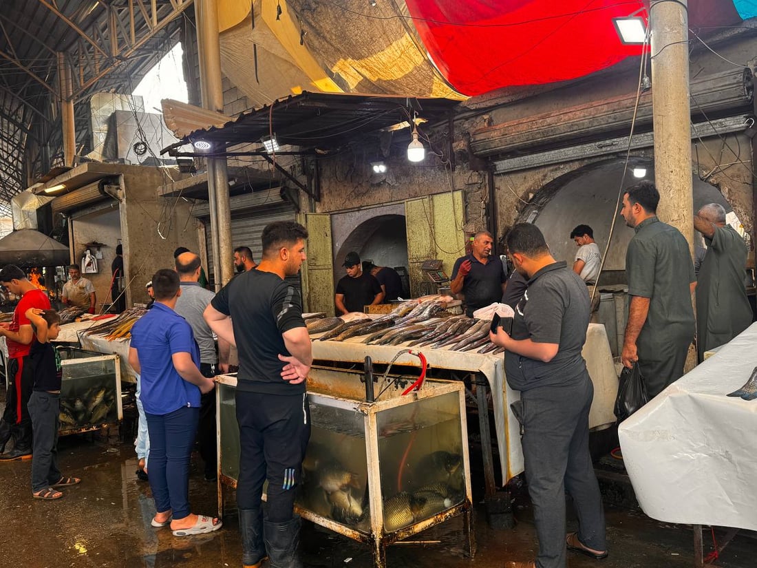 سوق السمك في الموصل ينتعش.. زوار أجانب يتوافدون يومياً (صور)