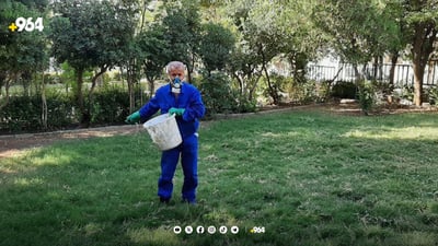 چیمەنی چەند باخێکی سلێمانی تووشی کرمی قالۆنچەیی بوون