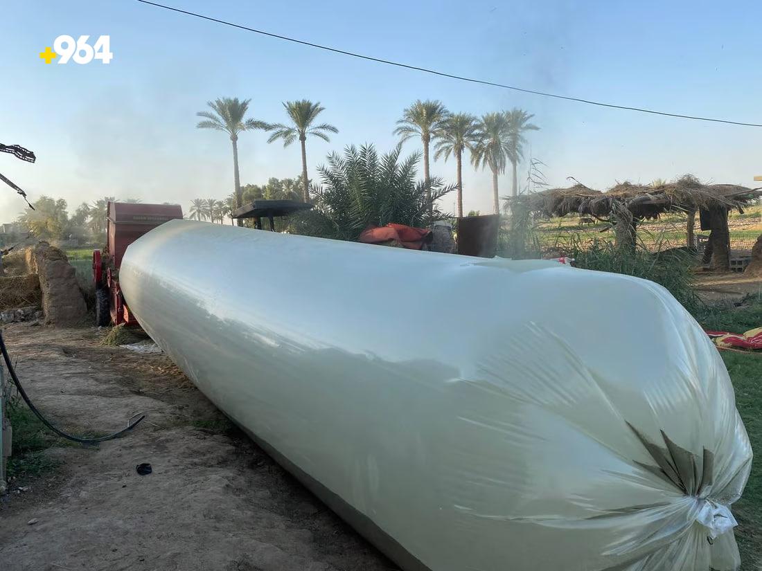 964mediaصورة من منصة (شبكة): 