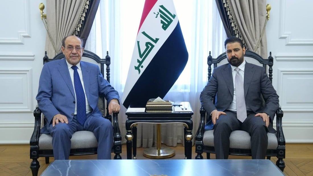 المالكي يزور الزيدي وتأكيد على ضرورة إكمال التشكيلة الحكومية