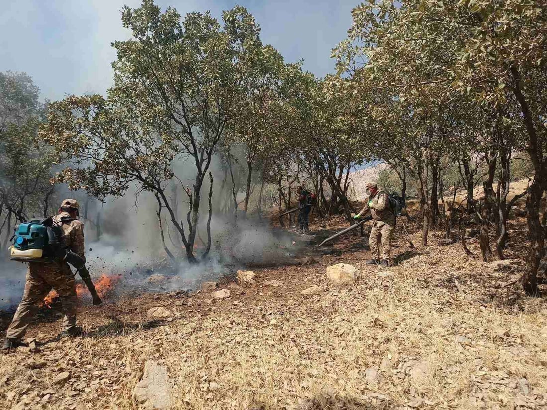 20 دۆنم دارستان و پوش و پاوان و رەز و باخى هاوڵاتیانى گوندى باراو سووتا