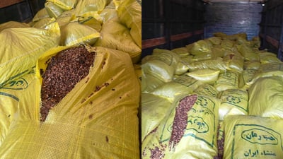 دەستبەسەر زیاتر لە 10 تۆن دەنکە هەناری وشککراودا گیرا