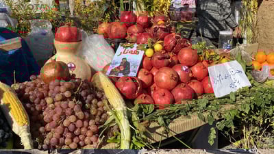 هەولێر ڤیستیڤاڵی کشتوکاڵی و کاری دەستی کردەوە