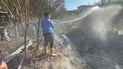 Fire destroys orchards in Qaladze