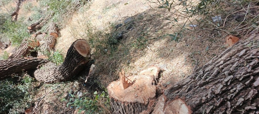 لە گوندێکی چۆمان 50 شۆڕەبی قەتڵوعام کران