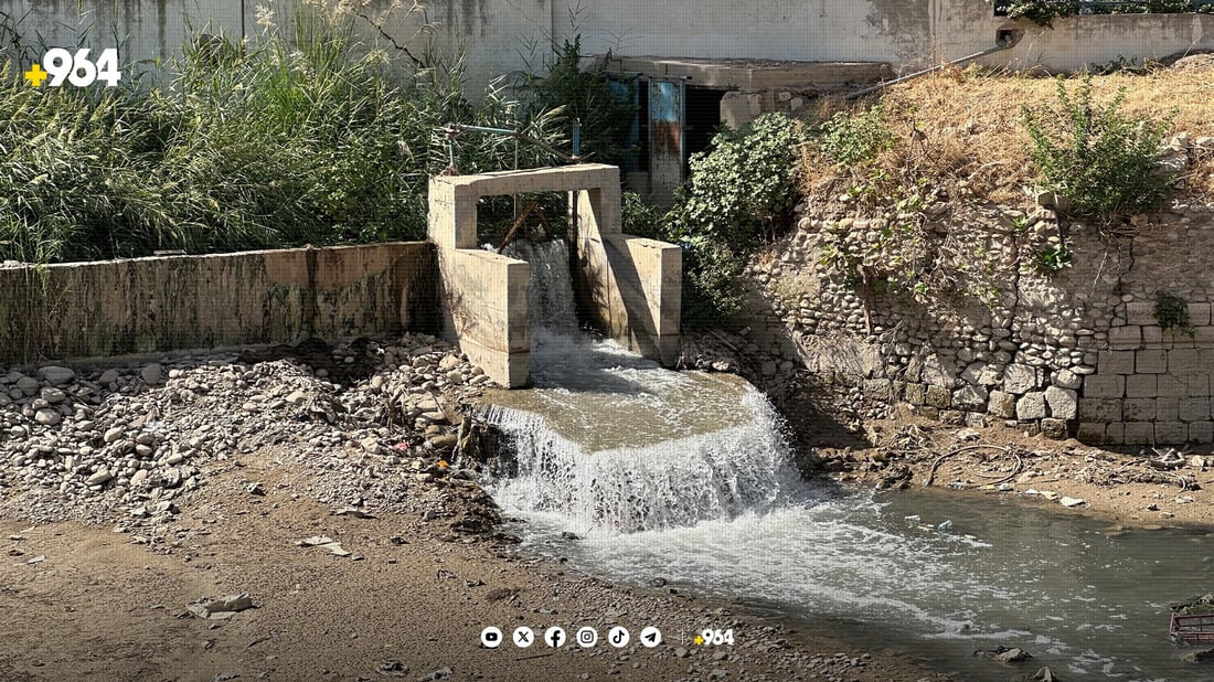 964 بووە هۆی رزگاربوونی هەزاران ماسی خابوور لە مرداربوونەوە