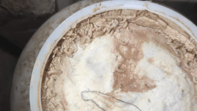 زیاتر لە دوو تۆن سێو و خورما و پەنیرى نەشیاو بۆ خواردن دەستیان بەسەرداگیرا