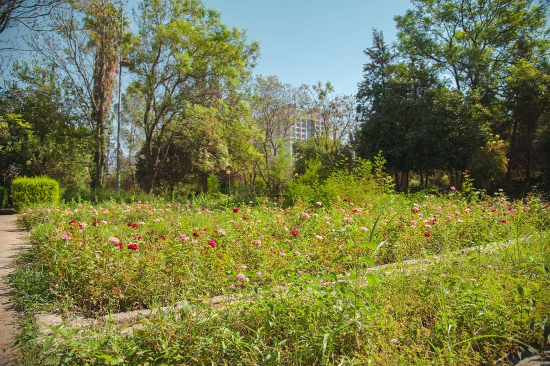 112 هەزار نەمام ئامادەن بۆ باخچەکانی هەولێر 