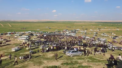 Tal Afar agriculture department urges preservation of farmlands