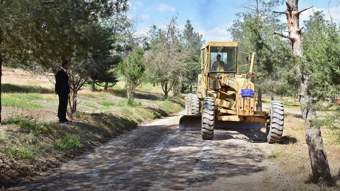دارستانە دەستکردەکەی زەڕایەن بێنازە