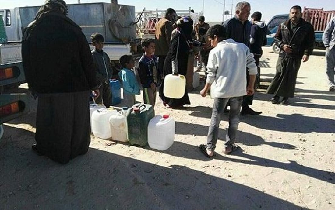 صورة متداولة