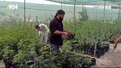 Campaign to enhance greenery by planting on the banks of the Dayr river