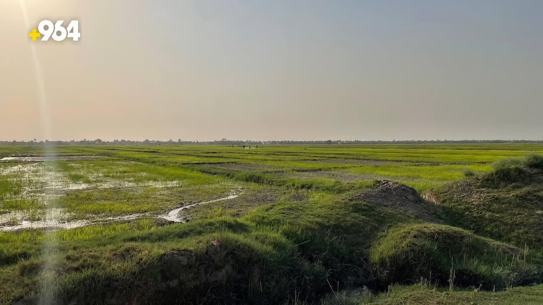 Farmers in Al-Mashkhab express concerns over water disputes in Najaf