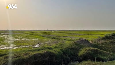 Farmers in Al-Mashkhab express concerns over water disputes in Najaf