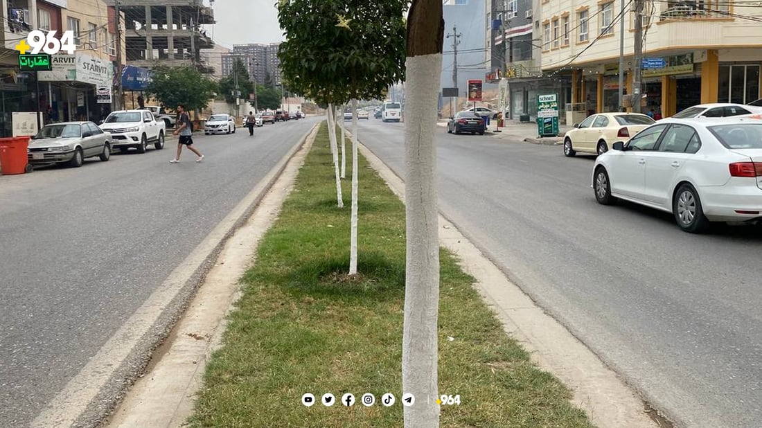 شارەوانی دارەكان رەنگ دەكات