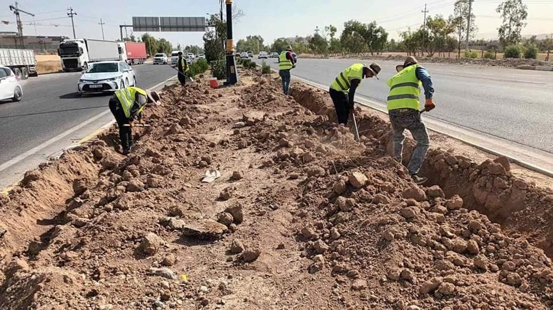 صور: أربيل تضع اللمسات الأخيرة على حملتها الكبرى لتقليم أشجار المدينة