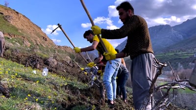 فيديو: الفأس والمعول فقط ينقذان الزراعة فوق جبال أربيل