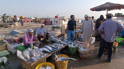 قائمة بأسعار السمك في مرسى النقعة الصباحي اليوم السبت