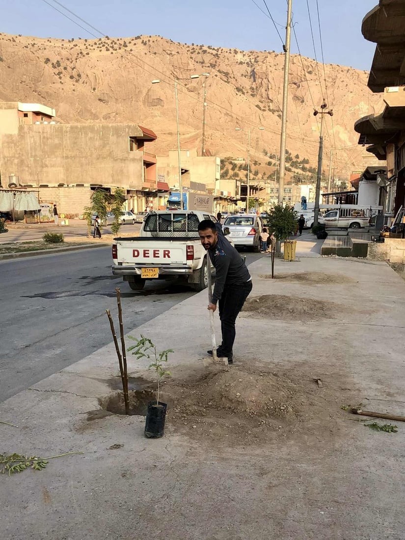نەمامەکانی بوون بە دار و شۆستە و شەقامەکانی دەربەندیخانیان ئاوەدان کردەوە
