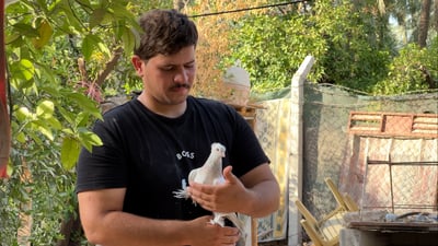 كوخ خشبي من حياة “أفلام الكارتون”.. الهويدر وأجمل أقواس المياه في العراق