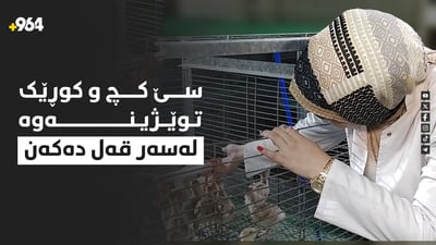 چوار خوێندکارى گه‌رمیان توێژینەوە لەسەر بەخێوکردنی قەل ده‌كه‌ن