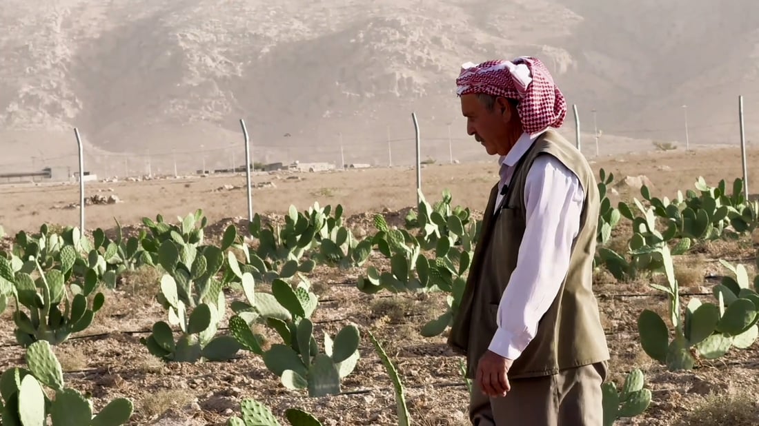 KRG renews call for full implementation of Sinjar Agreement, five years after signing