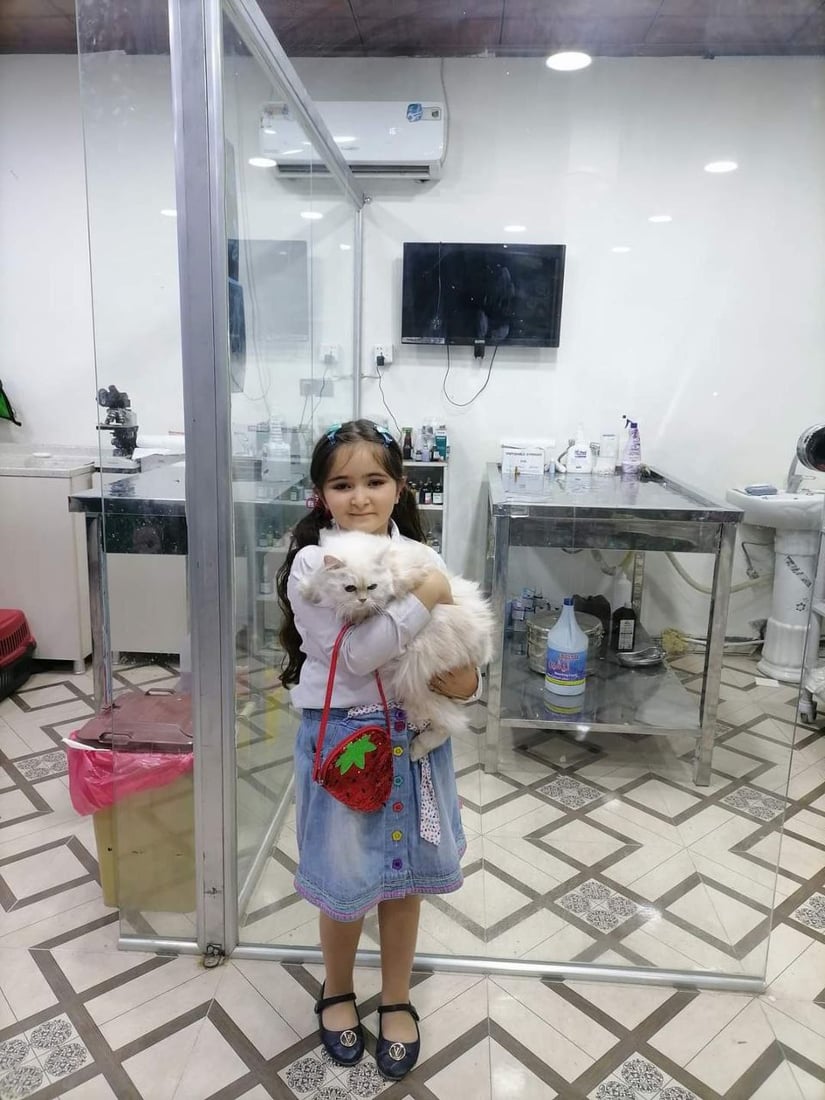 بيطري من الموصل: لا تجبروا قططكم على الاستحمام.. ولقحوها فوراً فقد ظهَر الطاعون