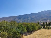 ئاگر لە دارستانی چەند شارێکی رۆژهەڵات 