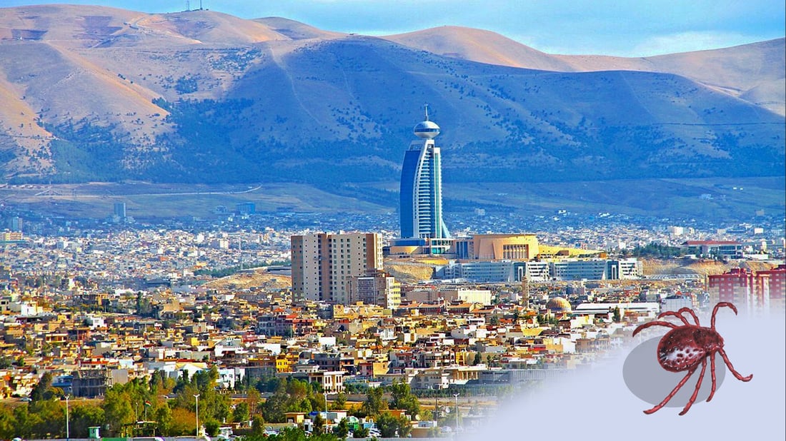 قایمقامى سلێمانى پلانى جه‌ژنى قوربانى بۆ رووبه‌ڕووبونه‌وه‌ى‌ تاى خوێنبه‌ربوون راگه‌یاند