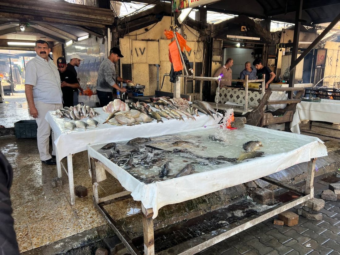سوق الشوّاكة: الأربعاء مخصص لأكل السمك عند البغداديين وهذه أسعار البني والكارب (صور)
