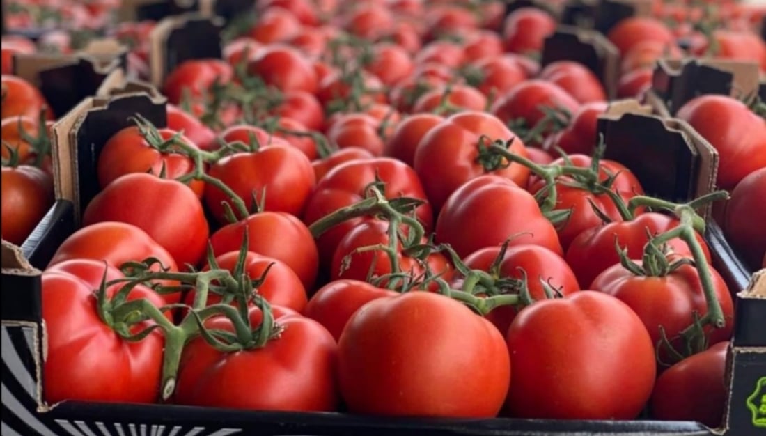 KRG removes tariffs on imported produce to ease market prices