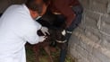 Iraq records 15 new hemorrhagic fever cases and one death in past week
