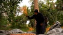 هيت خسرت ثلث التمور بسبب العواصف المبكرة.. الزهدي صار علفا هذا العام