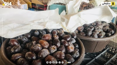 عێراق زیاتر لە 22 ملیۆن دارخورمای هەیە و گرێبەستی بۆ واژۆ دەکات