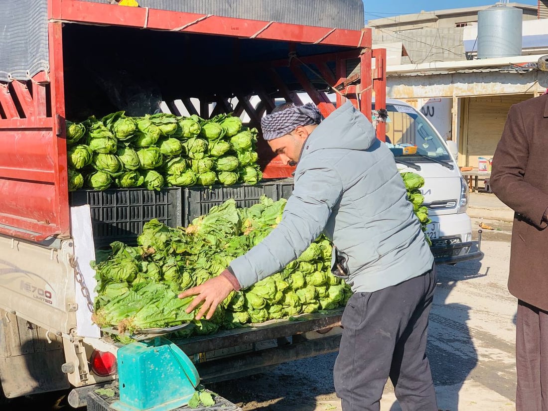 صباح خيرات العراق الطازجة.. آخر أيام الخس وسبهان ينتظر “الركي” (صور)