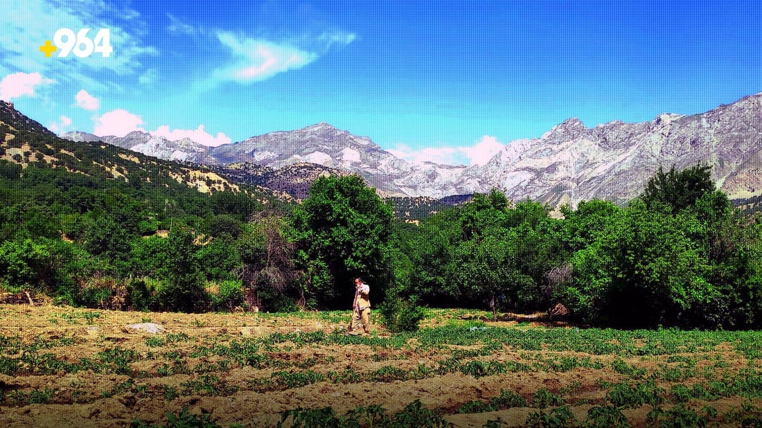 مه‌ڕ و ماڵاتى ره‌وه‌نده‌كان بوونه‌ته‌ به‌ڵاى بنارى قه‌ندیل